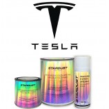 More about Vopsea TESLA – Grund mat pentru lac, în borcan sau spray de 400 ml, pe bază de solvenți – toate codurile de culoare