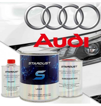 Cod culoare Audi - spray de vopsea 2K sau cutie cu intaritor"