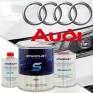 Cod culoare Audi - spray de vopsea 2K sau cutie cu intaritor"