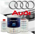 Cod culoare Audi - spray de vopsea 2K sau cutie cu intaritor"