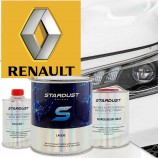 Cod culoare Renault - spray de vopsea 2K sau cutie cu intaritor"