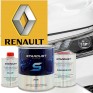 Cod culoare Renault - spray de vopsea 2K sau cutie cu intaritor"