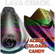Kit complet pentru motociclete Lava Crack cu culoarea la alegere