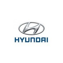 VOPSEA HYUNDAI