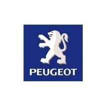 VOPSEA SCUTER  PEUGEOT